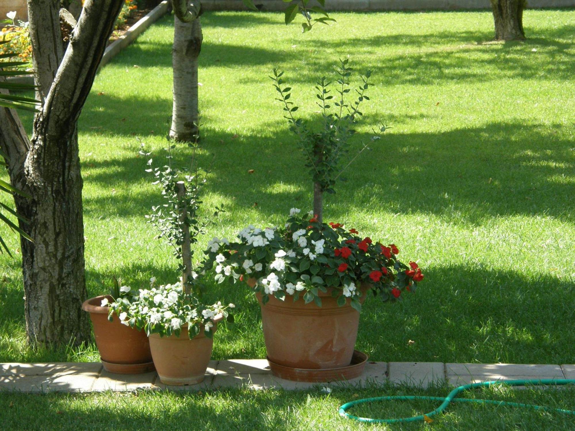Villa Slavica 1 Βόντιτσε Εξωτερικό φωτογραφία