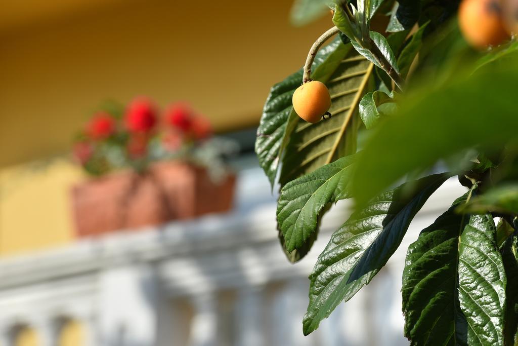 Villa Slavica 1 Βόντιτσε Εξωτερικό φωτογραφία
